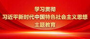 几个大鸡巴操一个逼视频学习贯彻习近平新时代中国特色社会主义思想主题教育_fororder_ad-371X160(2)